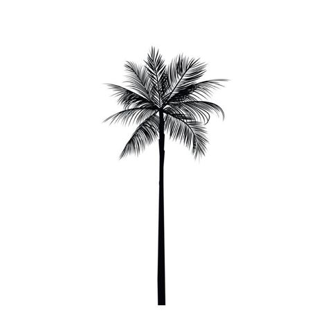 Back Palm Tattoo Hand Men, Palm Tree Tattoos Men, Coconut Tree Tattoo Design, Palm Tattoo Men, Palm Tattoo Design, Palm Tree Leaf Tattoo, Palm Tree Tattoo Arm, Palm Tree Tattoo Men, Coconut Tree Tattoo