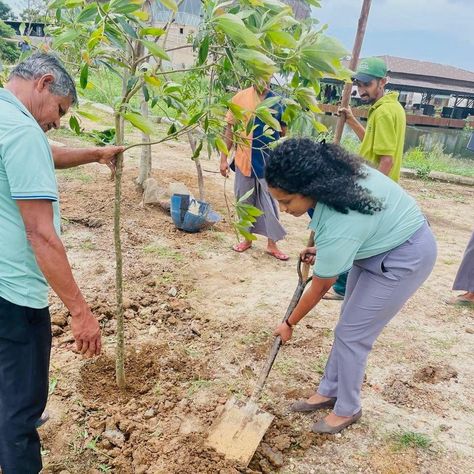 Today, on World Environment Day, our dedicated staff at Bolagala Floating Resort took a proactive step towards sustainability by planting in our greenhouse. With each seed sown, we're nurturing a brighter, greener future for our planet. By fostering a culture of environmental stewardship, we're not just a resort; we're a community committed to preserving the beauty of our surroundings. Join us in celebrating this important day by making a pledge to protect and preserve our precious environmen... Environmental Stewardship, World Environment Day, Environment Day, Our Planet, Planting, Sustainability, The Fosters, Planets, Floating