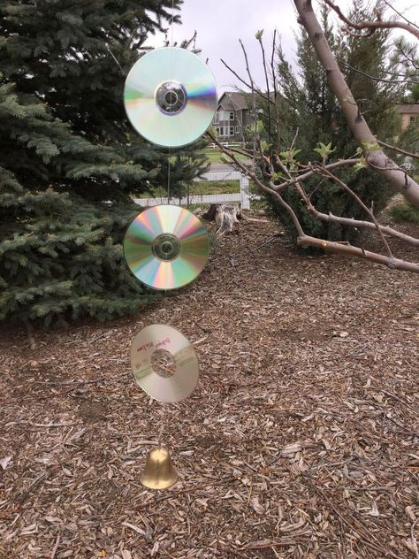 Last year I was so disappointed - we had limited blooms on our apple tree because of a late winter storm.  My tree produced a small amount of apples and of cour… Repurposed Cds, Candle Headboard, Cd Idea, Spinners Diy, Bird Deterrents, So Disappointed, Old Cds, Cd Crafts, Late Winter