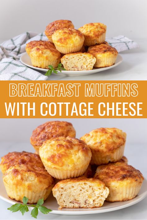 Low Carb Egg Breakfast Ideas, Keto Cheese Muffins, Cottage Cheese Egg Muffins Low Carb, Cottage Cheese Keto Breakfast, Carbless Breakfast On The Go, Low Carb Cottage Cheese Snacks, Keto With Cottage Cheese, Cottage Cheese And Egg Muffins, Eggs And Cottage Cheese Muffins