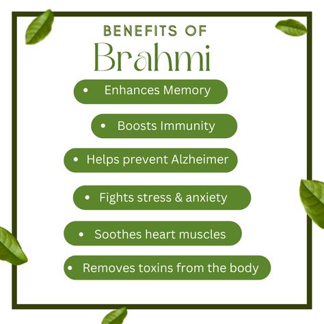 Brahmi Benefits Ayurveda, Jatamansi Benefits, Brahmi Benefits, Brain Memory, Essential Oils Herbs, Boost Memory, Heart Muscle, Remove Toxins, Morning Sickness