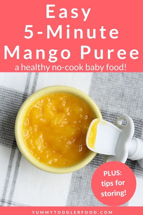 Mango Puree Recipe, Baby Mango, Homemade Baby Food Storage, Baby Food Recipes Stage 1, Frozen Mango, Baby Food Pouch Recipes, Baby Food Storage, Baby Puree, Baby Puree Recipes