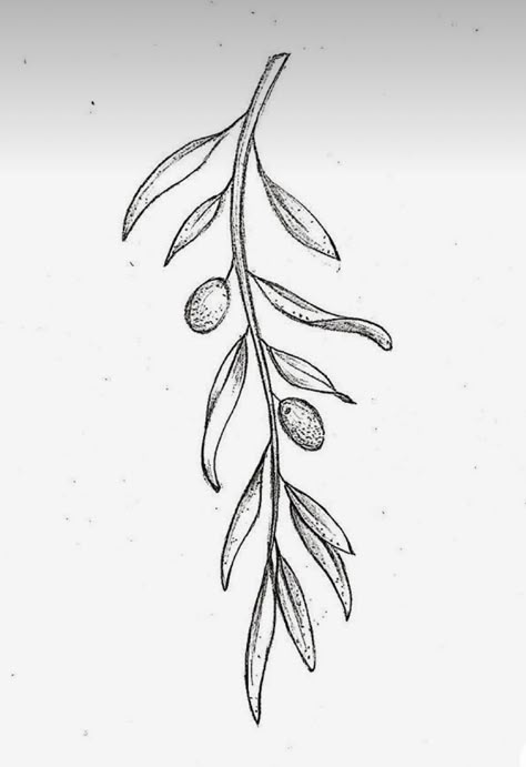 Walnut Branch Tattoo, Olive Branch Reference, Snake Olive Branch Tattoo, Greek Plant Tattoo, Greek Olive Tattoo, Cross With Olive Branch Tattoo, Olive Flower Tattoo, Olive Leaf Tattoo Design, Fine Line Olive Branch