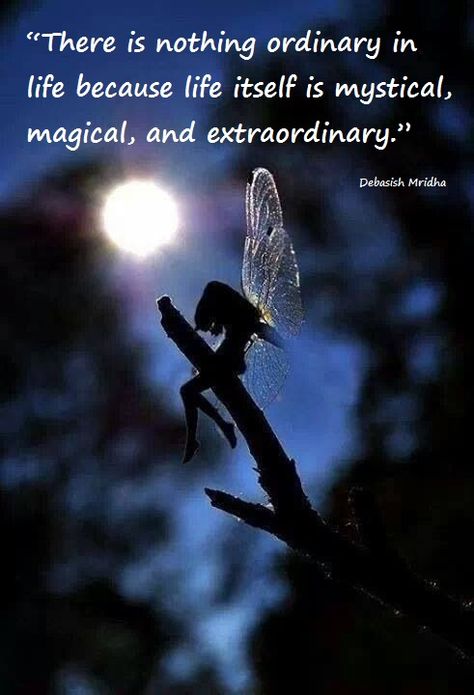 “Don't settle for ordinary. Dare to live a magical life.”   Debasish Mridha  ☪★ Fairy Dragon, Fairy Pictures, Magical Life, Fairy Aesthetic, Montage Photo, Fairy Magic, Fairy Angel, Fairy Art, Fairy Land