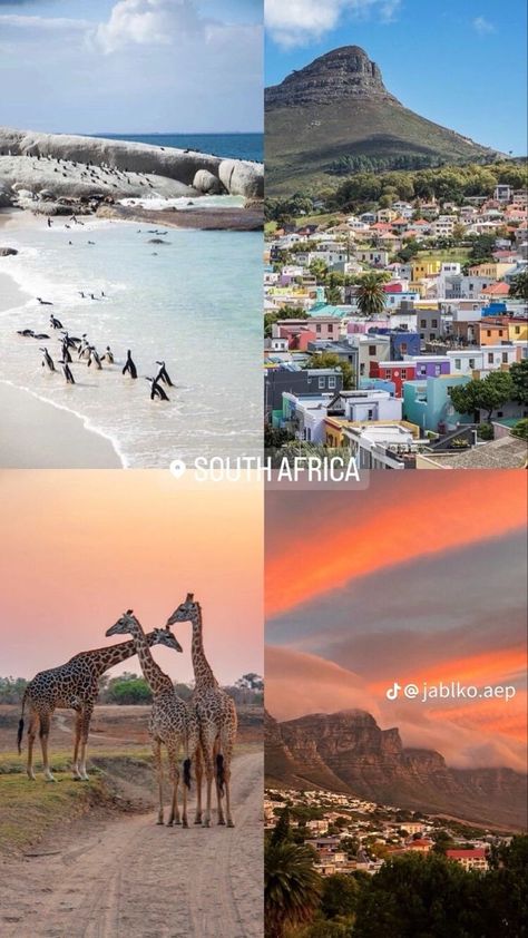 #TravelGoals #Wanderlust #ExploreMore #AdventureAwaits #BucketListTravel #TravelInspiration #TravelAddict #VacationVibes #TravelDiaries #RoamTheWorld Vacation Trips Ideas, Travel Locations Places To Visit, Fun Places To Travel, Cool Places To Travel, Africa City, South Africa Vacation, Cheap Airline Tickets, Dream Vacation Spots, Holiday Travel Destinations