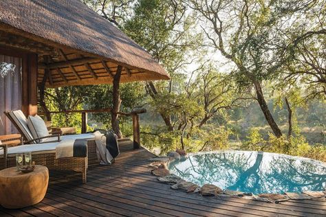 Africa House, African Lodges, Amazing Pools, Luxury Safari Lodge, South Africa Safari, Chobe National Park, Plettenberg Bay, Christmas Lodge, Outdoor Baths