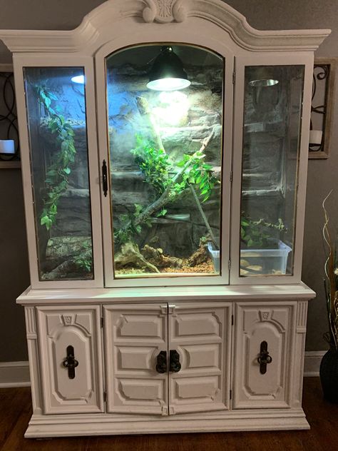 Terrarium Furniture Ideas, Aesthetic Terrarium Reptile, China Cabinet Reptile Enclosure, Diy Curio Cabinet Terrarium, China Cabinet Terrarium, Homemade Reptile Enclosure, Custom Snake Enclosures, Cute Snake Enclosure Ideas, Corn Snake Cage Ideas