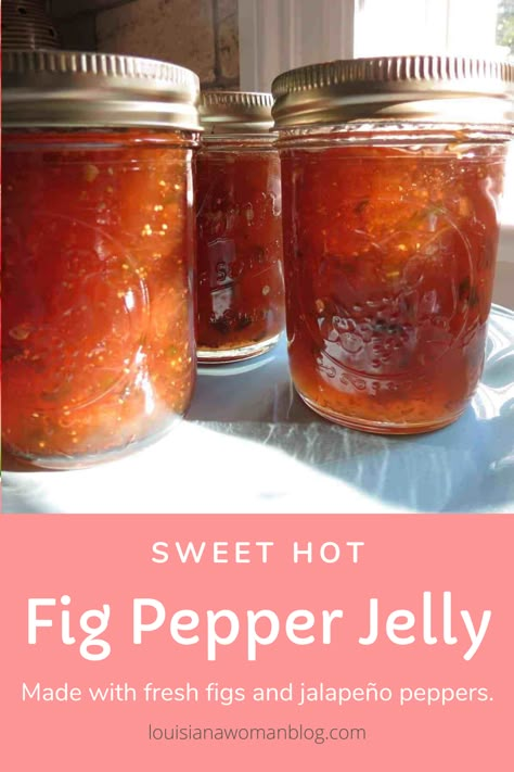 Jalapeno Fig Jam Recipe, Fig And Jalapeno Jam, Fig Pepper Jam Recipe, Fig Pepper Jelly, Fig Jalapeno Pepper Jelly, Canned Figs Recipes, Jalapeno Fig Jam, Fig Jelly Recipe, Fig Pepper Jelly Recipe