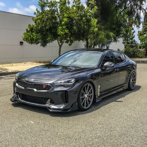 Kia Stinger Modified, Stinger Car, Mod Cars, Kia Stinger Gt, Korean Cars, Kia Optima K5, Kia Stinger, Japanese Domestic Market, Kia Motors