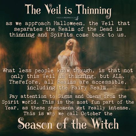 Samhain Origin, October Witchcraft, Fall Witchcraft, Samhain Spells, Samhain Witchcraft, The Veil Is Thinning, Veil Is Thinning, Witchy Holidays, Pagan Halloween