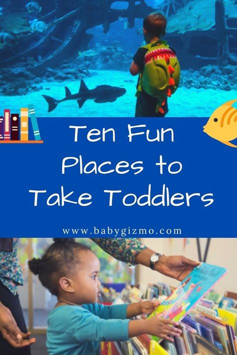 10 Fun Places to Take Toddlers Fun Places To Take Babies, Toddler Swimming Lessons, Places To Take Toddlers, Fun Places For Kids, Fun Places To Go, Field Trips, Toddler Play, Swim Lessons, Toddler Fun