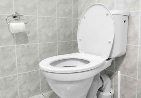 How to Drain a Toilet (DIYer's Guide) - Bob Vila Toilet Fill Valve, Toilet Drain, Diy Handyman, Bob Vila, Diy And Home Improvement, Toilet Tank, Diy Repair, Toilet Cleaning, Toilet Bowl