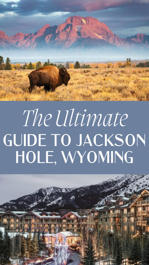 Explore the best of Jackson Hole, Wyoming with our ultimate travel guide! Experience skiing in winter to hiking in summer, discover outdoor adventures, wildlife, and charming local spots in this iconic Western destination. Jackson Hole Wyoming Fall Outfits, Jackson Hole Wyoming Summer Outfits, Alpine Wyoming, Jackson Hole Wyoming Thanksgiving, Wyoming And Montana Road Trip, Jackson Hole Wyoming October, Jackson Hole Wyoming September, Winter In Jackson Hole Wyoming, Jackson Hole Wyoming Winter