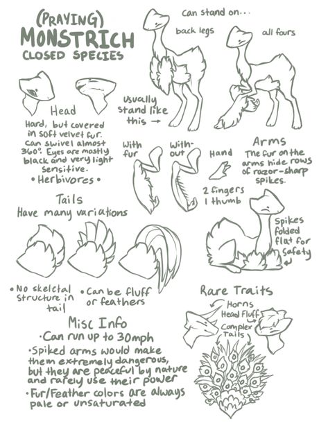 Species Trait Sheet, Closed Species Guide, Species Name Ideas, Original Species Reference Sheet, Closed Species Reference Sheet, Anatomy Guide, Species Sheet, Species Ideas, Species Design