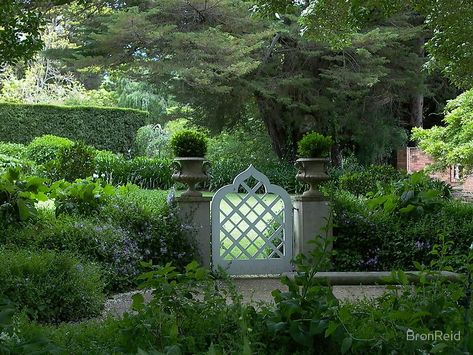 Garden Entrances, Outdoor Gates, Garden Gates And Fencing, Outdoor Sanctuary, Front Yard Fence, Garden Entrance, Garden Shrubs, Modern Fence, Fence Ideas