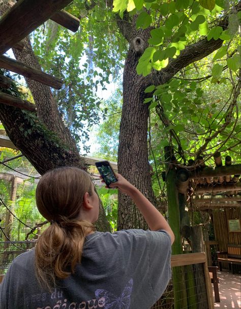 a girl is looking up to take a photo of leaves on a zoo pathway Zoo Pictures Ideas, Zoo Day Aesthetic, Zoo Aesthetic, Zoo Job Aesthetic, Treehouse Aesthetic, Zoo Asethic, Aesthetic Zoo Pictures, Zoo Pictures, Country Summer