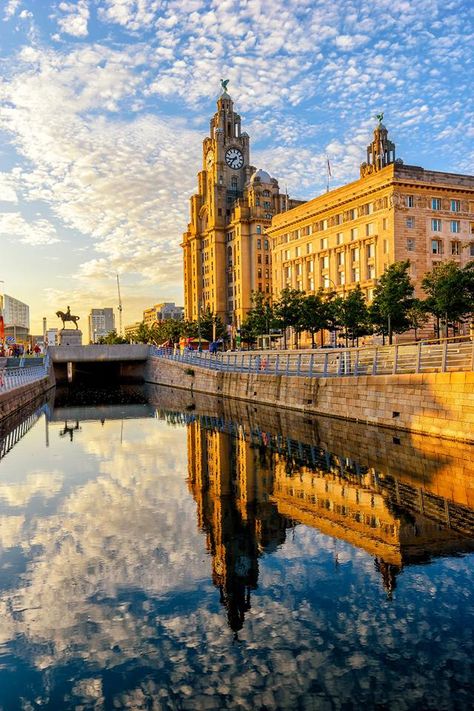 Liverpool City Photography, Liverpool City Aesthetic, Liverpool Aesthetic, Liverpool University, Liverpool Photos, Liver Building, Liverpool Town, Fish Under The Sea, University Of Liverpool