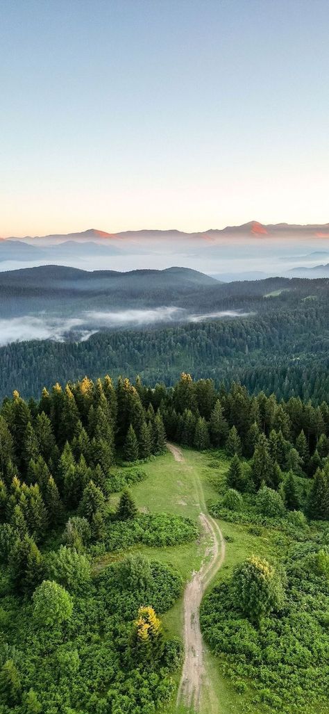 Forest Aerial View, Ethereal Scenery, Nature Art Wallpaper, Train Carriage, Nature Iphone Wallpaper, Adventure Aesthetic, Nature Wallpapers, Iphone Wallpaper Themes, Nature View