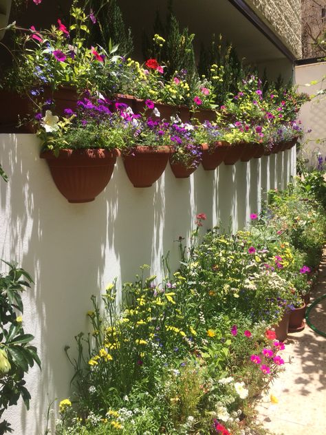 Container garden half wall pots Wall Pots, Pot Rack, Small Space Gardening, Container Garden, Wall Planter, All About Plants, Backyards, Plant Wall, Container Gardening