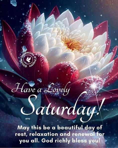 Beautiful Saturday Morning, Blessed Saturday, Saturday Morning Quotes, Happy Saturday Images, Friday Inspirational Quotes, Saturday Greetings, Saturday Blessings, Blessing Quotes, Morning Quotes For Friends