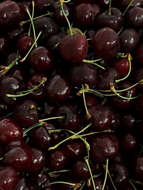 Cherries, cherry red, moody aesthetic, Black Cherries, Dark Cherry Aesthetic, Black Cherry Aesthetic, Dark Cherry Red, Dark Y2k Aesthetic, Black Cherry Color, Darkest Academia, Black Cherry Merlot, Rose Lemonade