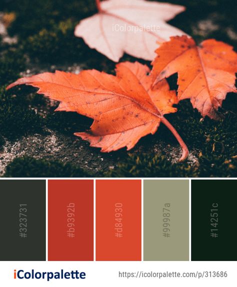 Fursona Ideas, Nail Color Combinations, Wedding Color Pallet, Colors Combinations, Orange Leaves, Beige Art, Art Resources, Leaves Autumn, Color Reference