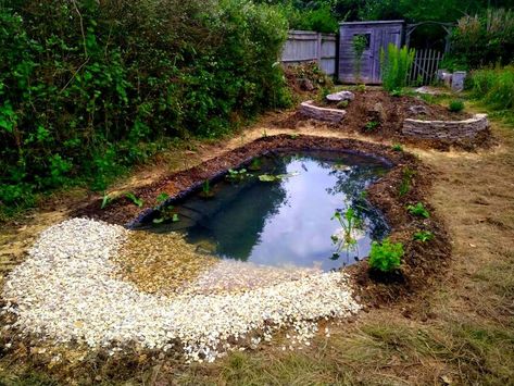 How to build a natural looking wildlife pond - BUCKINGHAMSHIRE LANDSCAPE GARDENERS How To Build A Fish Pond, Pond Natural, Wildlife Ponds, Pond Building, Large Water Features, Diy Ponds Backyard, Wildlife Pond, Retention Pond, Plants In Baskets