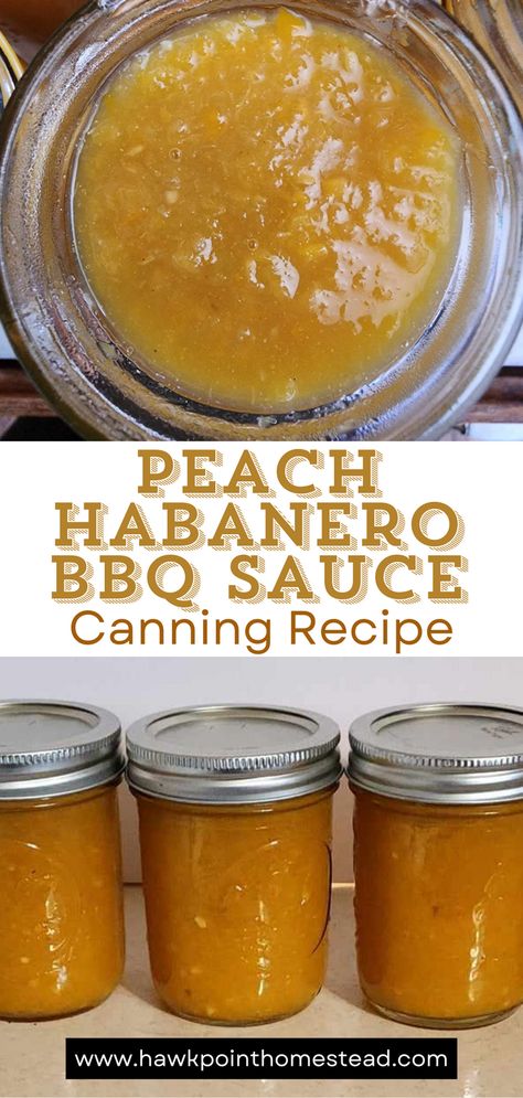 This recipe for peach habanero BBQ sauce recipe for canning is a delicious and wonderful twist on traditional barbecue sauce. The peach gives it a sweet flavor and combined with tangy flavor of the habaneros make it a taste out of this world. The delicious flavor pairs perfectly with grilled meats like ribs, chicken and pork. This sweet BBQ sauce with its little bit of heat has an interesting flavor that can be made more spicy or less spicy. Spicy Peach Sauce, Bbq Canning Recipes, Canned Sauce Recipes, Peach Bbq Sauce Recipe Canning, Bbq Sauce Canning, Peach Bbq Sauce Recipe, Chili Canning Recipe, Apple Blossom Recipe, Diy Bbq Sauce