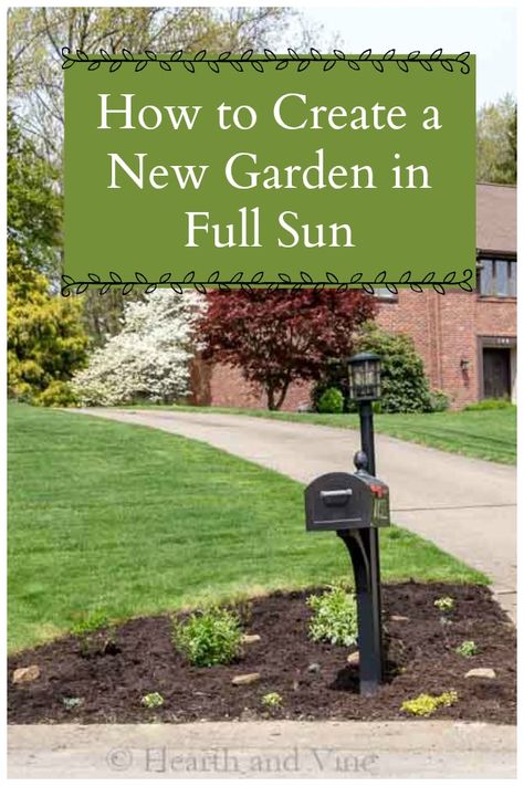 New garden tips and ideas, including full sun plant choices, design consideration, planting and maintenance. #gardeningideas #fullsunplants #gardentips Garden In Front Of House, Full Sun Garden, Mailbox Garden, Full Garden, Mailbox Landscaping, Full Sun Perennials, Full Sun Plants, Sun Garden, Sloped Garden