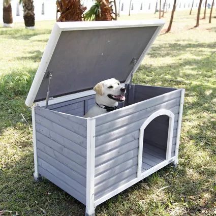 15 Free DIY Dog House Plans Anyone Can Build Cheap Dog Houses, Dog House Outdoor, Cheap Dog Kennels, Extra Large Dog House, Build A Dog House, Wooden Dog Kennels, Wooden Dog House, Large Dog House, Dog House Plans