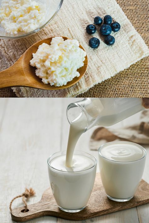 Sources Of Probiotics, Drinkable Yogurt, Fermented Milk, Kefir Grains, Gallon Jars, Milk Kefir, Probiotics Supplement, Clear Liquids, Vitamin K