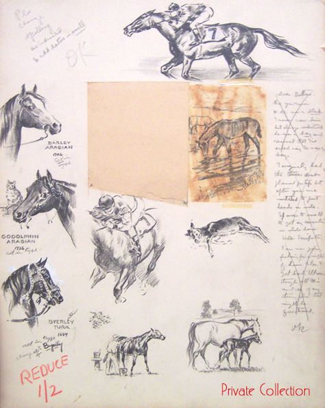 Thoroughbreds Wesley Dennis Horses, Brown Horse Art, Drawing Horses, Painting Horses, Vintage Drawings, Horse Books, Charcoal Drawings, Equestrian Art, Rough Draft