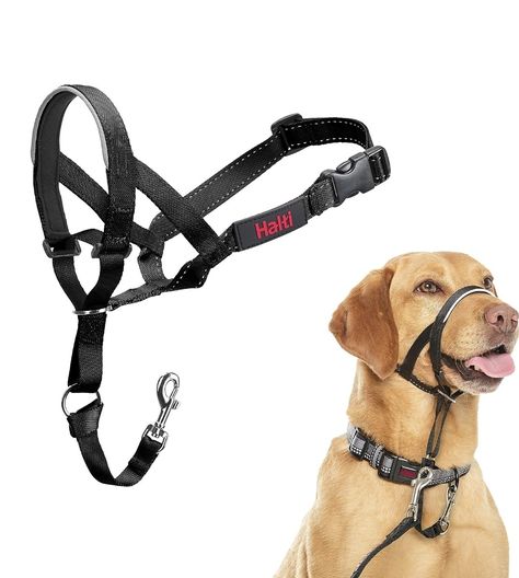 STOPS PULLING: the Halti Headcollar prevents pulling on the lead by gently steering and guiding your dog's direction. KIND & HUMANE: made from strong but lightweight nylon webbing, the Halti Headcollar is designed for comfort with a padded neoprene nose band and won't interfere with panting, eating or drinking. REFLECTIVE & SAFE: every Halti Headcollar has reflective accents for improved visibility in low light and a safety link that attaches to your dog's collar for complete peace of mind. Gentle Leader For Dogs, Dog Halter, Run Rabbit Run, Puppy Essentials, Hike Mountain, Gentle Leader, Pet Muzzles, Riding Chaps, Horse Washing