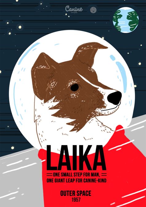 ¡Gracias a Laika!, el ser humano logró un enorme paso. Pese a ello, esta historia no deja de estrujarme el corazón. Laika Art, Soviet Space Dogs, Laika Dog, Space Dogs, Adoption Photos, Eddsworld Memes, Space Animals, Space Dog, Cat Posters