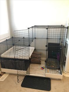 Diy Bunny Cage, Diy Rabbit Cage, Indoor Rabbit Cage, Diy Guinea Pig Cage, Rabbit Enclosure, Bunny Cage, Pet Rabbit Care, Bunny Room, Pet Bunny Rabbits