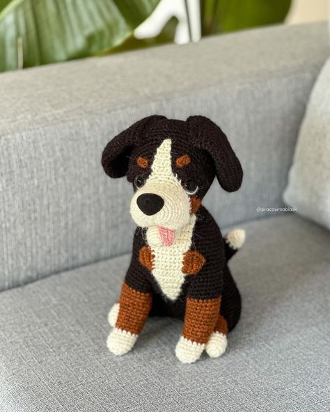 You have seen him before, but it’s time for a closer look 😊 This little fella constantly roaming around and looking for a way to have fun or disturb his owner. His trademark is his tongue always sticking out, but don’t be fooled, this is not a sign of fatigue 😅 ✦ Pattern: Bernese Mountain Dog by @anchutka_toys Made with @istexlopi Léttlopi #pracowniablask #crochet #häkeln #szydełkowanie #amigurumi #bernesemountaindog #dog #lettlopi amigurumi • crochet • doll • handmade • szydełkowanie Crochet Bernese Mountain Dog Pattern, Bernese Mountain Dog Crochet, Dog Amigurumi, Mountain Dog, Doll Handmade, Bernese Mountain, Crochet Dog, Bernese Mountain Dog, Dog Pattern