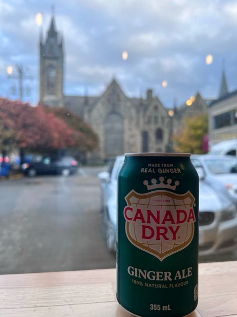 #canadadry #canada #cocacola #drink #ginger #gingerale #realginger #real #explore #fyp #boisson Ginger Ale Aesthetic, Dry Ginger, Feel Good Food, Ginger Ale, Soft Drinks, Natural Flavors, Dream Life, Coca Cola, Feel Good