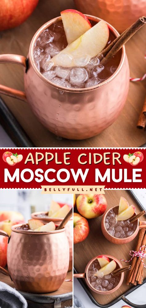 This easy fall recipe is one of the cocktails to make at home! You can even whip up a big batch of this simple fall drink for a party. Sweet, sour, and boozy, this Apple Cider Moscow Mule is a fun twist on the traditional! Carmel Apple Moscow Mule Recipe, Apple Cranberry Moscow Mule, Fall Flavored Moscow Mules, Apple Cider Moscow Mules, Pumpkin Spice Apple Cider Moscow Mules, Apple Cider Mules, Apple Cider Mule Mocktail, Crown Apple Mule Recipe, Apple Cider Moscow Mule Recipe