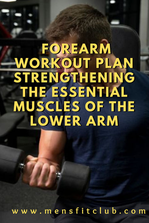 Forearm Workout Plan: Effective exercises to strengthen and build forearm muscles, including grip-strengthening moves and targeted routines. Ideal for improving wrist stability and overall arm definition. Dumbbell Forearm Workout, Forearm Workout Women, Forearm Workout For Men, Workout For Men Gym, Workout For Men At Home, Workout Women At Home, Forearm Workout At Home, Arm Workout Men, Forearm Workout