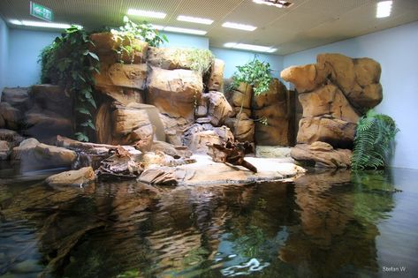 New hall, crocodiles - ZooChat Crocodile Enclosure, Zoo Buildings, Zoo Decor, Turtle Terrarium, Zoo Inspiration, Reptile Zoo, Public Aquarium, Zoo Project, Zoo Architecture