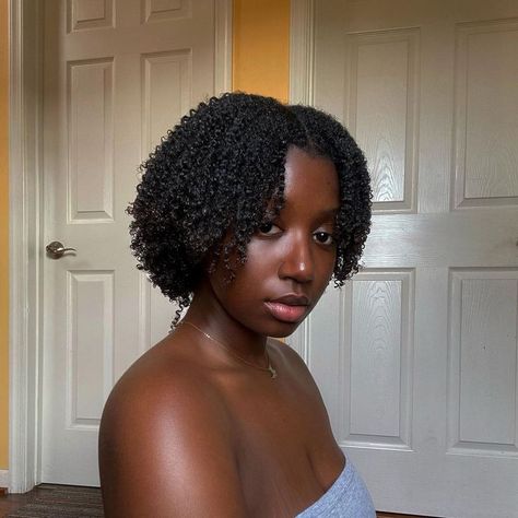 Hair Color Streaks, Quick Natural Hair Styles, Type 4 Hair, Natural Curls Hairstyles, Curly Girl Hairstyles, Natural Hair Tips, 4c Hairstyles, Hair Inspo Color, Black Natural Hairstyles