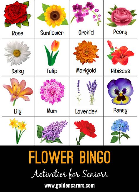 A 'Flower' themed bingo game! Flowers Different Types, Flower Images Pictures, Different Type Of Flowers, Fleur Cowles, Pics Of Flowers, Flowers List, Type Of Flowers, Flowers Name List, Flowers Types