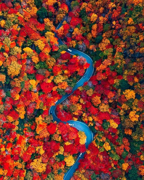 Kiel James Patrick (@kjp) • Instagram photos and videos Vermont Autumn, Paris Place, Leaf Peeping, Aerial Images, Daily Pictures, Colorful Trees, Autumn Scenery, Nikko, Fall Pictures