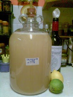 Ben's Adventures in Wine Making: Lemon & Lime Wine - The Making Of ... Lemon Wine Recipe, Mead Making, Lemon Wine, Wine Making Recipes, Homemade Wine Recipes, Mead Wine, Mead Recipe, Homemade Alcohol, Making Wine