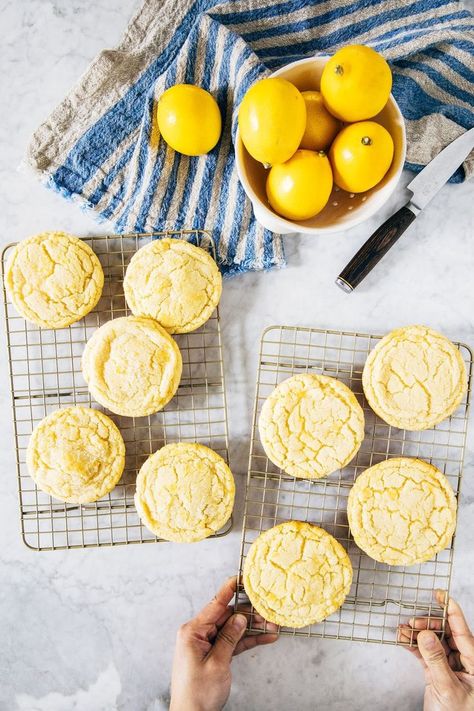 meyer lemon sugar cookie recipe Lemon Christmas Cookies, Lemon Sugar Cookies Recipe, Lemon Sugar Cookie, Sugar Cookie Recipes, Lemon Biscotti, Meyer Lemon Recipes, Chewy Bars, 3 Cookies, Morning Treats