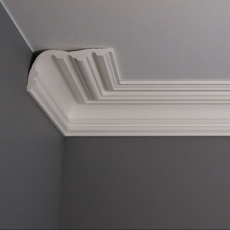 Covingshop.com - The Coving Shop London UK Low Ceiling Coving, Victorian Cornice Ceiling, Art Deco Coving, Ornate Coving, Ceiling Molding Ideas, Coving Ideas, Cornices Ceiling, Victorian Details, Ceiling Coving