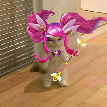 Star Guardian Lux Icon, League Of Legends Pp, League Of Legends Pfp, Lux Icon, Lux Lol, Lux League Of Legends, League Of Legends Star Guardian, Legend Cat, Star Guardian Lux