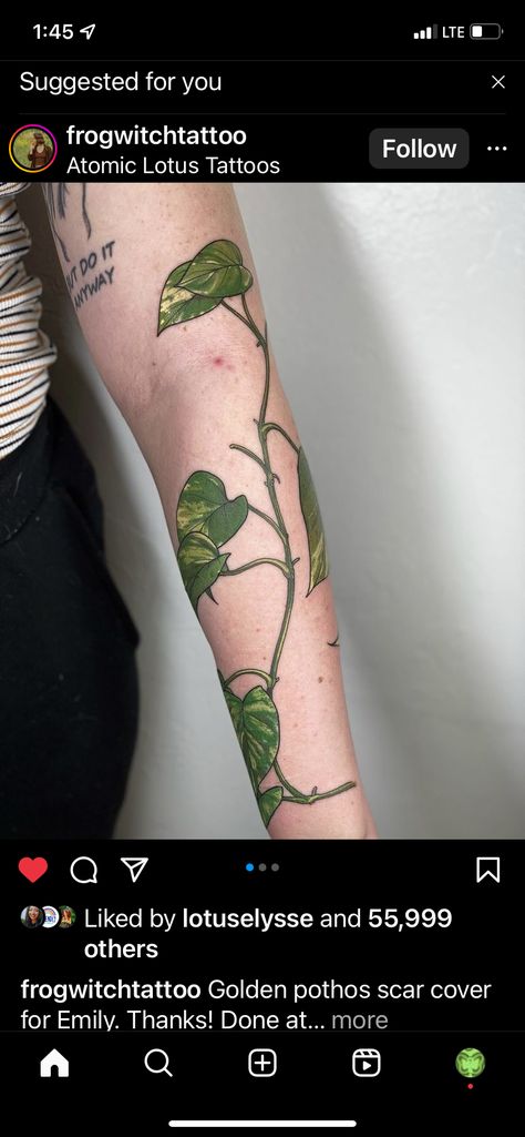 Golden Pathos Tattoos, Pothos Leaf Tattoo, Golden Pothos Tattoo, Pathos Plant Tattoo, Pothos Photography, String Of Pearls Tattoo, Pothos Vine Tattoo, Pothos Plant Tattoo, Pathos Tattoo