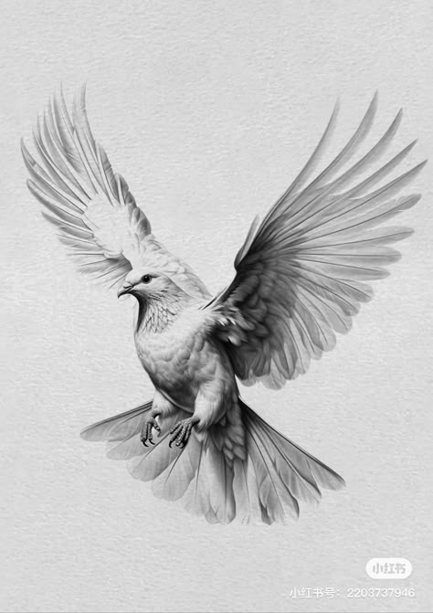 Dove Tattoo Reference, Dove Bird Tattoo Design, Two Dove Tattoo Design For Women, Biblical Dove Tattoo, Realistic Feather Tattoo, Realistic Dove Tattoo, Pigeon Tattoo Design, Dove Tattoo Men, Paloma Tattoo