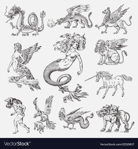 Medieval Mythical Creatures, Mythical Tattoos, Cerberus Tattoo, Griffin Mythical, Greek Creatures, Polo Pattern, Medieval Tattoo, Mythological Animals, Animals Tattoo